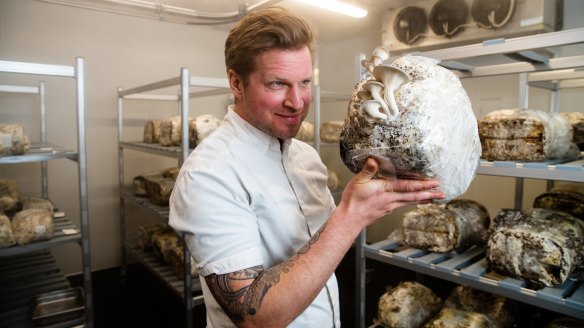 Mushroom grower Hendrik Janavicius in his 'shroom room above Stix Cafe in Marrickville.