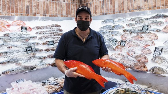 Leon Hadjiparaskeva with Coral Trout for sale at Seafood at Eastgardens on 03 December, 2021. Photo: Brook Mitchell