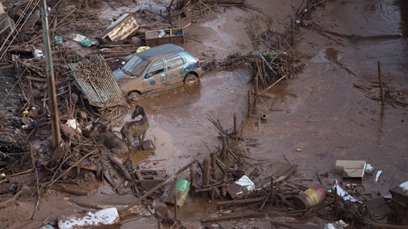 Two of Samarco's tailings dams in the state of Minas Gerais burst on November 5, sending a wall of water and mining waste into the valley below.