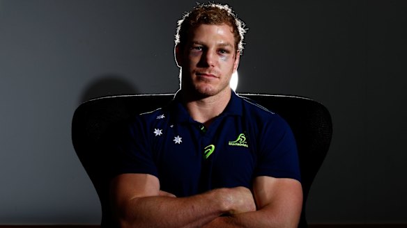 Shining star: Wallabies flanker David Pocock.
