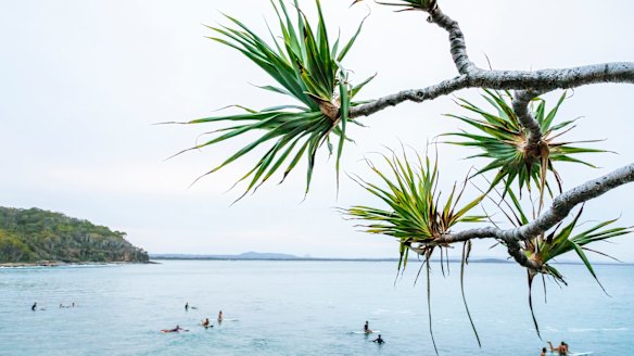 Why the Sunshine Coast’s laidback charms attract all types