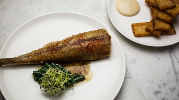 Go-to dish: Roasted flathead tail.