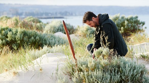 Zonfrillo has been captivated by native Australian ingredients.