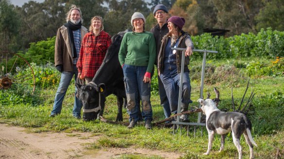 Terry Eyssens, Tessa Sellar, Berta the cow, Hugh and Katie Finlay and Mel Willard at the co-op farm just north of Castlemaine.