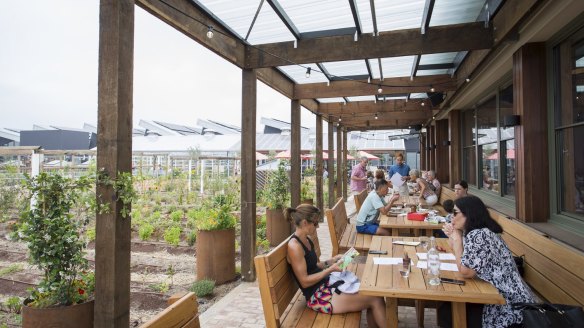 The indoor-outdoor Glasshouse cafe overlooks the rooftop farm.