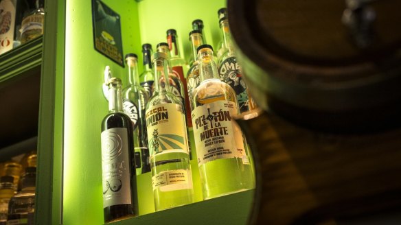 Many connoisseurs describe mezcal the same way as wine in terms of its complexity and terroir.