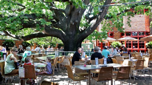 Schooners under the Oaks' tree is Sydney classic.