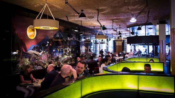 Lightbox-topped booths inside the not-so-subtle Natural History Bar and Grill.