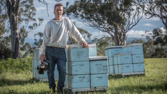 Tambo Valley Honey beekeeper Ben Murphy. 