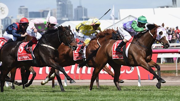 Prince of Penzance wins the Melbourne Cup.