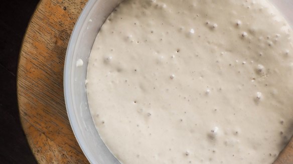 The process of creating your own sourdough bread starter is relatively simple.