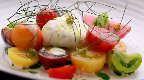 Burrata and tomato medley. 