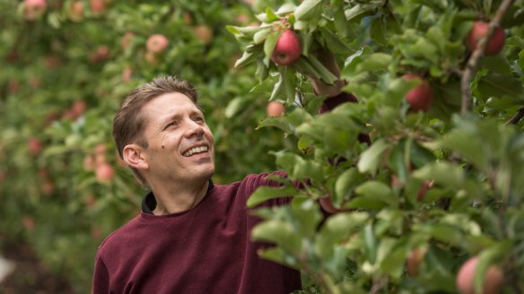 Rowan Little, general manager of Montague, one of Australia's oldest and largest apple growers and distributors.