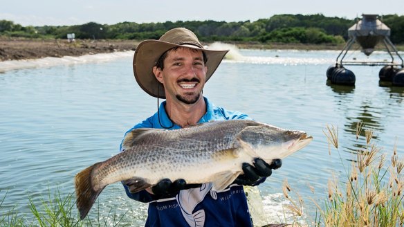 Chief executive of Humpty Doo Barramundi, Dan Richards. Richards' Northern Territory farm is certified sustainable by Best Aquaculture Practices.