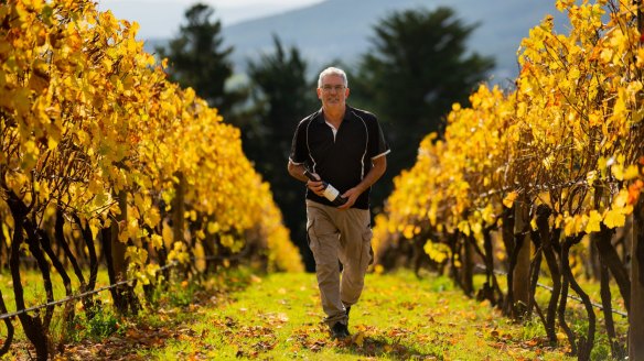 Seville Hill winemaker and owner John D'Aloisio. 