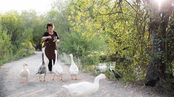 Alla Wolf-Tasker with her geese at the Lake House in Daylesford.