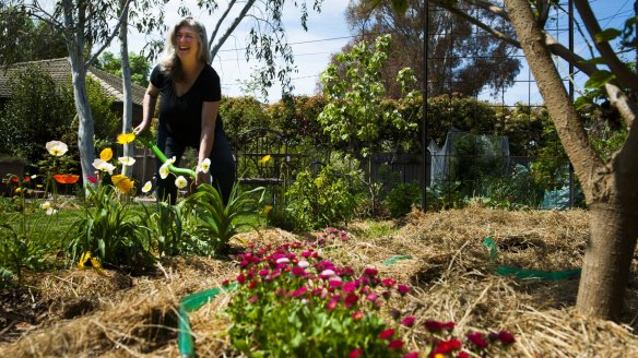 Taylor working between the swales (watering channels) in her vegetable garden.