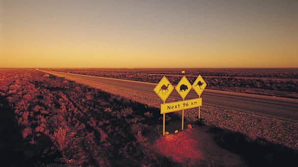 Flat and devoid of trees, the Nullarbor Plain is a very different place today from its wet-gum-and-banksia past, more than 3 million years ago.