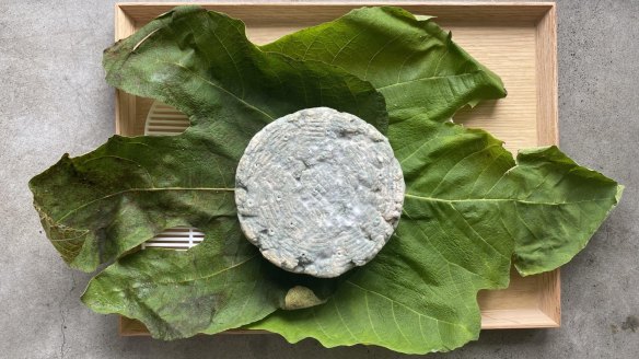 Chef Ben Devlin's roquefort-style cheese, aged in fig leaf.