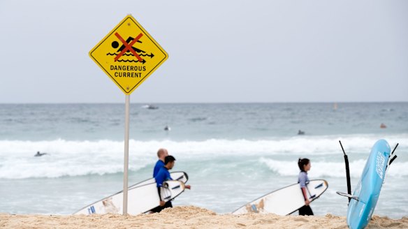 'Rips don't kill people, panic kills': Surf Life Saving on how to ...