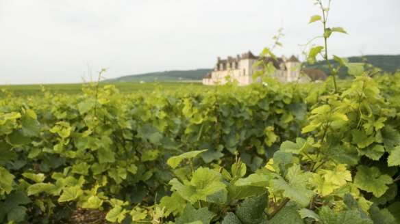 We can't travel to Burgundy right now, but we can always sip the region's wine.