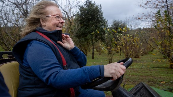 Jenny McAuley inspects her Red Hill truffle orchard, planted in 2005.