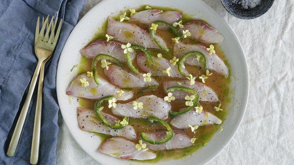 Kingfish crudo with ginger-citrus dressing.