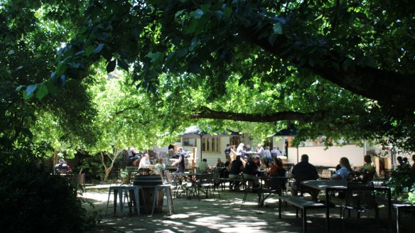 100-year-old Elm trees make the Cosmopolitan Hotel’s garden a gorgeous spot to sit.