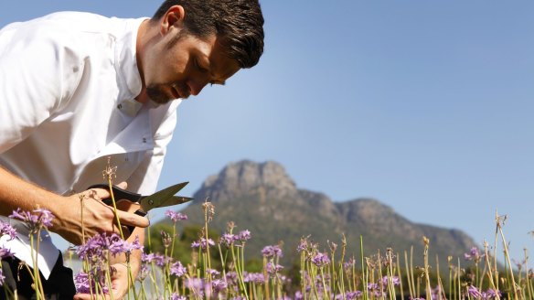 Harvesting society garlic at the Royal Mail Hotel, Dunkeld.