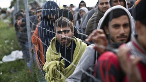Migrants and refugees wait in line to board a bus organised by the Austrian government in Hegyeshalom, Hungary, at the weekend.