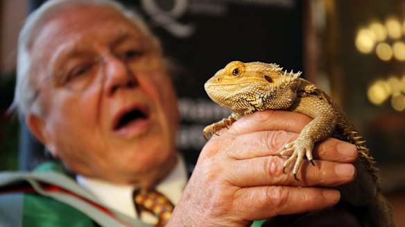 David Attenborough holding a bearded dragon.