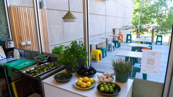 The sustainably-minded salad bar and its courtyard.