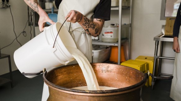 The domestic cheesemaking classes at The Cheese School join an already successful roster of courses for professionals.