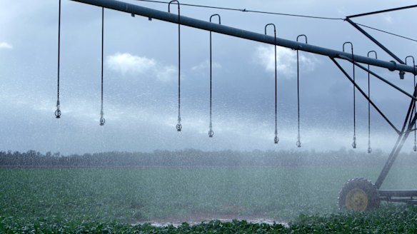 Report into water theft in NSW finds cases of non-compliance remain "unresolved for far too long".