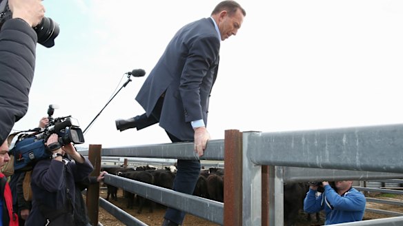 Prime Minister Tony Abbott climbs over the fence during his visit to the Bellevale Homestead Cattle Yard in Yass.