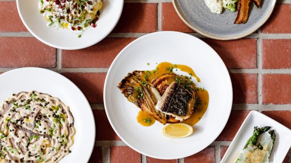 Wood-fired share plates at Yardbird in Albury.