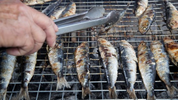 The price of Port Phillip Bay sardines will continue to rise, says Phil McAdam. 
