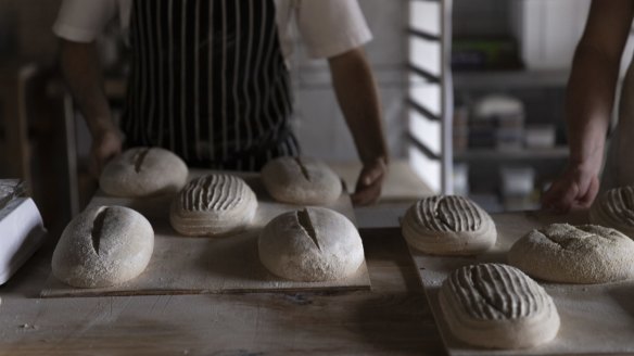 Daily sourdough from the Bake House at Dairy Flat Farm.