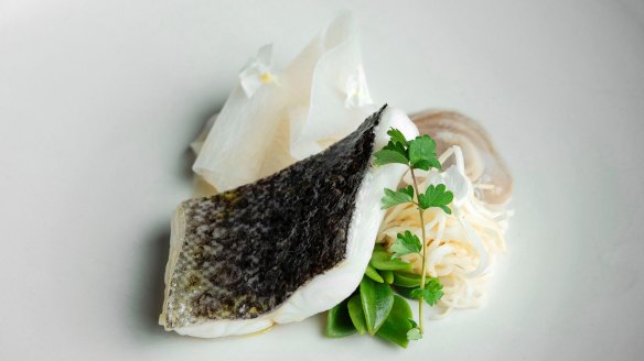 Go-to dish: Murray cod with angasi oyster, white radish, miso and celeriac.