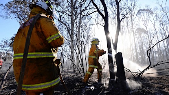 Fire crews work on Northern Road in Llandilo, where a fire burned through the reserve.