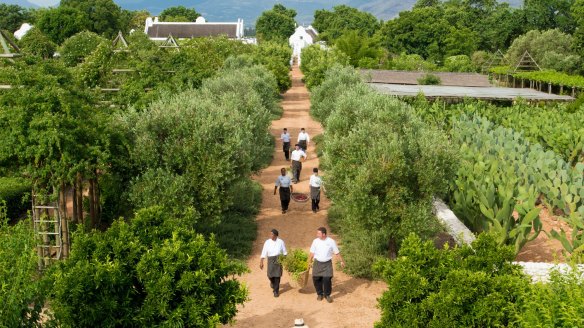 The chef's garden at Babylonstoren in South Africa.