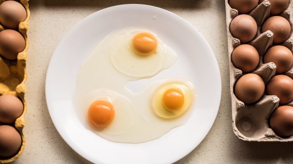 Left to right: free-range egg, cage egg, Bullfrog Gully egg. 