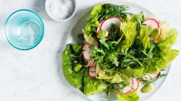 Radish, broad bean, butter lettuce and rocket salad. 