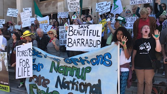 Protesters fight to save 'old-growth forest' marked for logging