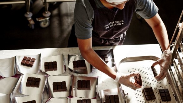 Hands-on: Pana chocolate production.