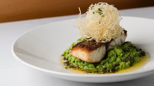 Pan-fried barramundi on peas textured with sunflower seeds and capers.