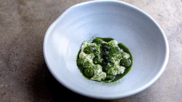 A riff on palak paneer with spinach and stracciatella cheese.