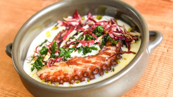 Octopus with harissa, potato and parsley.