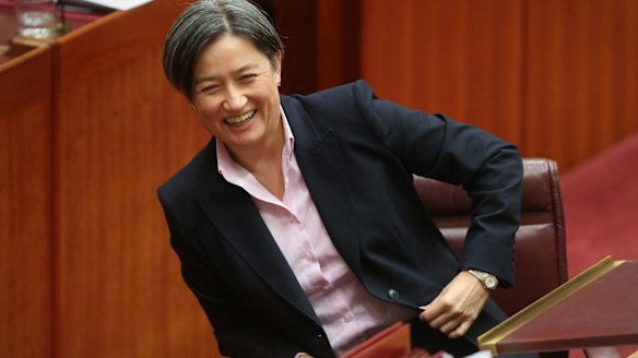 Senate Opposition Leader Penny Wong is what we should seek in a leader.