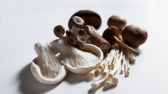 Mixed mushrooms add depth of flavour.